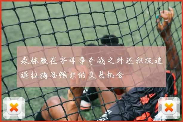森林狼在字母争夺战之外还积极追逐拉梅洛鲍尔的交易机会